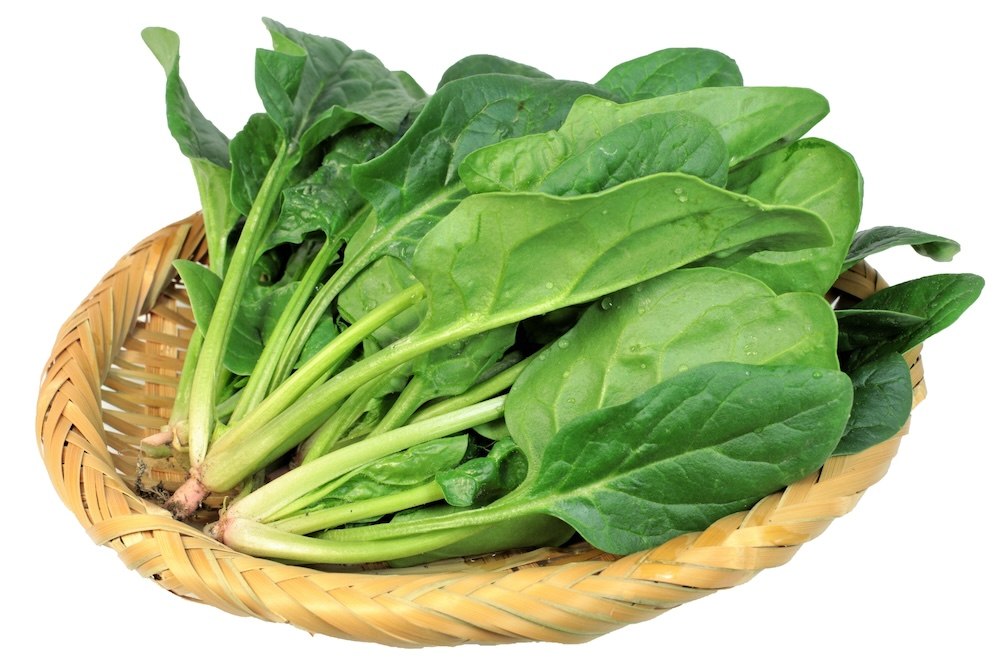 一籃新鮮菠菜